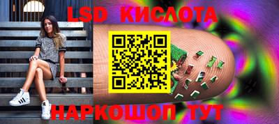 тгк Дмитров