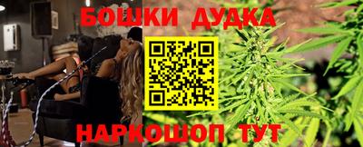 тгк Дмитров