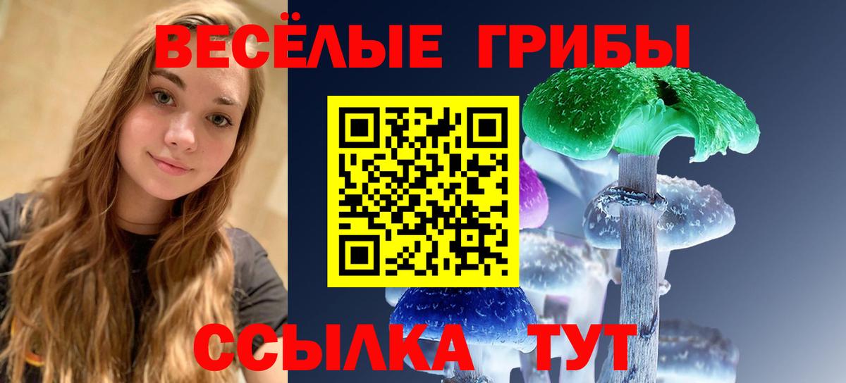 цены наркотик  Галлюциногенные грибы Psilocybine cubensis  Улан-Удэ  Вход с VPN  Псилоцибиновые грибы MAGIC MUSHROOMS 